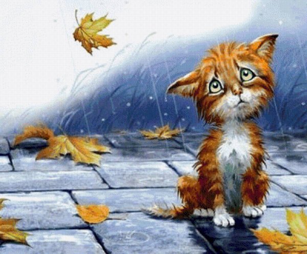 Рыжая кошка под дождем