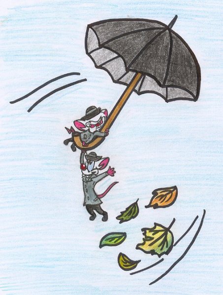 Сильный ветер для детей