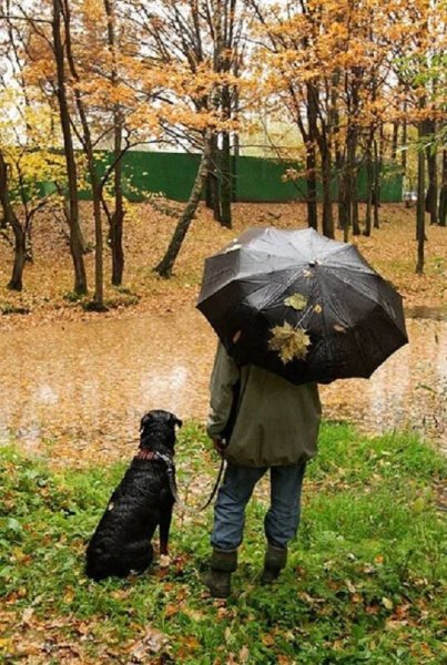 Люди осенью