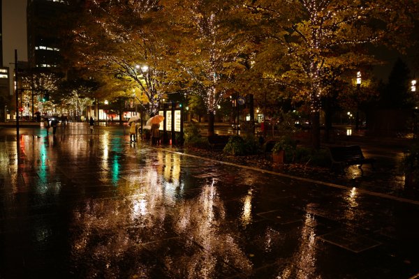 Ночной осенний город