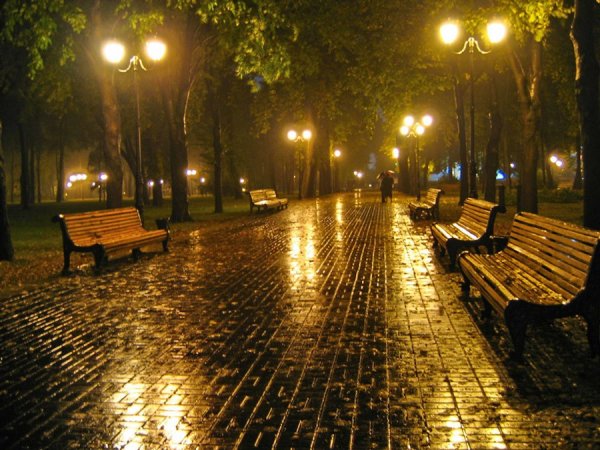 Улица парк вечер