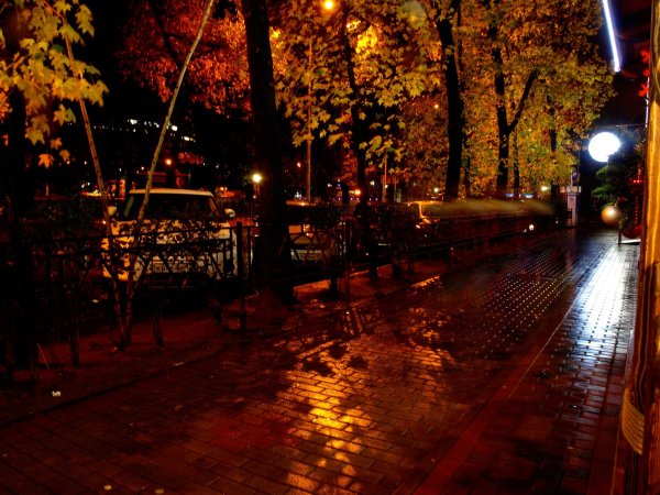 Осенний дождь в городе