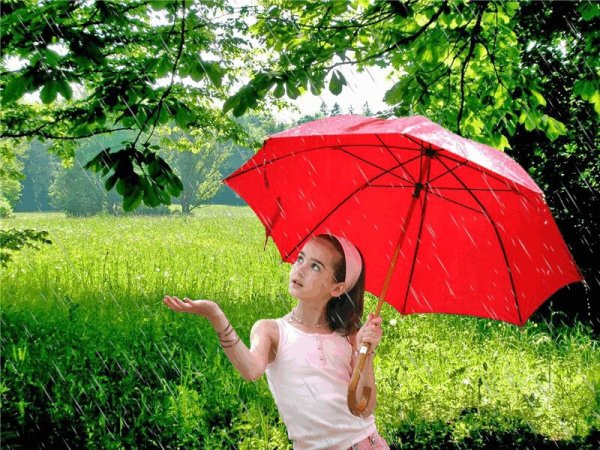 Под зонтиком летом