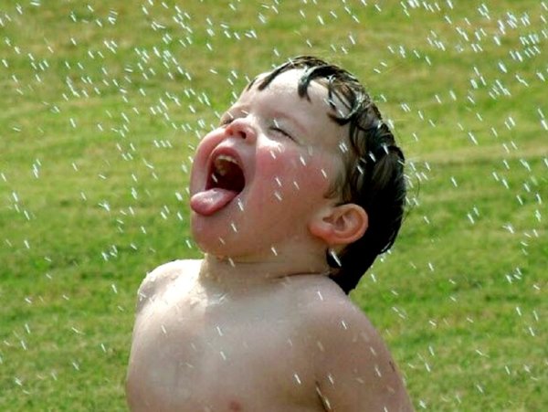 Смешные дети под дождем