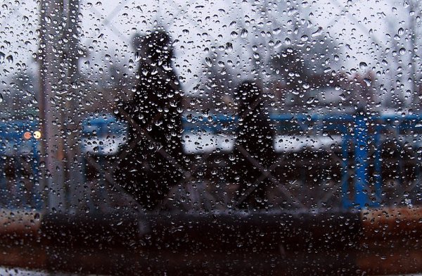 Дождь под окном