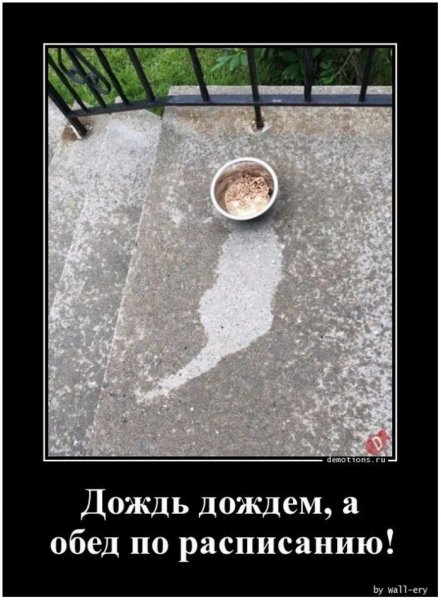 Демотиваторы про дождь