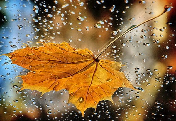 Не беспокойтесь распогодится и за окном и в жизни