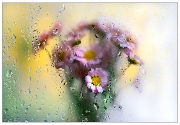 Акварельная нежность