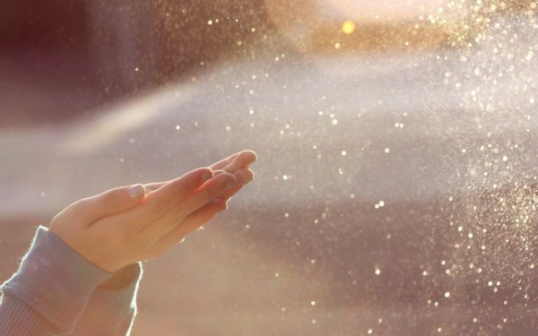 Пылинки в солнечных лучах