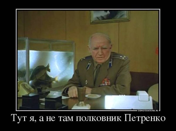 Николай Парфёнов — полковник Петренко