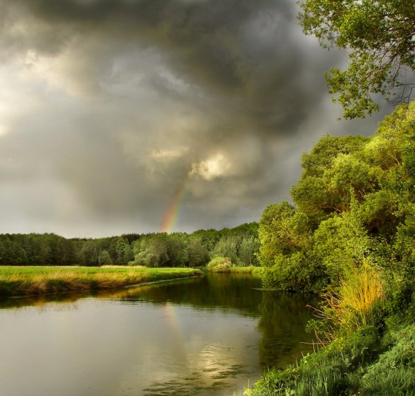 Весенняя гроза