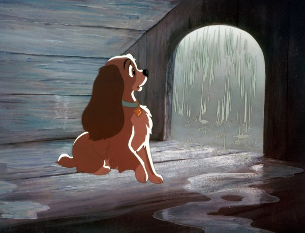 Леди и Бродяга леди