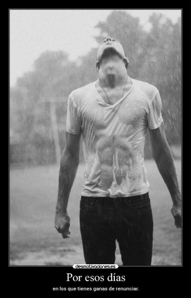 Люблю дождь цитаты