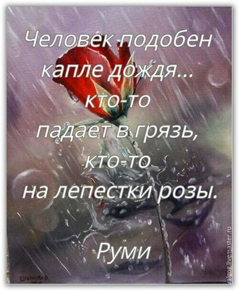 Дождь цитаты красивые