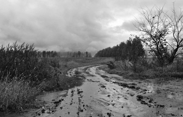 Пейзаж ненастье