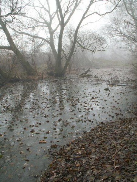 Грязь осенью