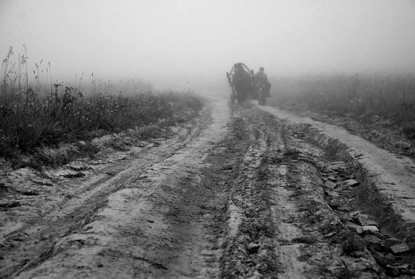 Раскисшая дорога