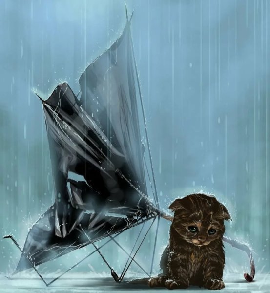 Грустный кот под дождем