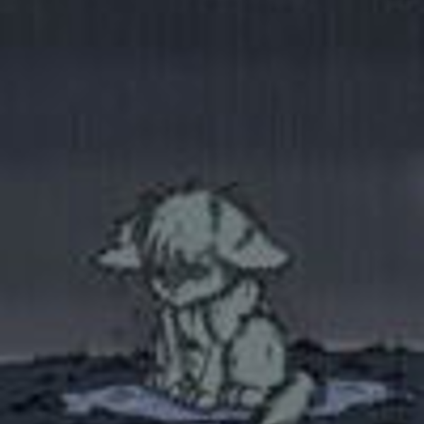 Грустный кот под дождем