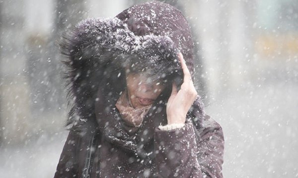 Ветер в лицо зима