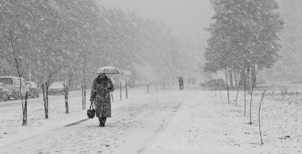 Метель в марте