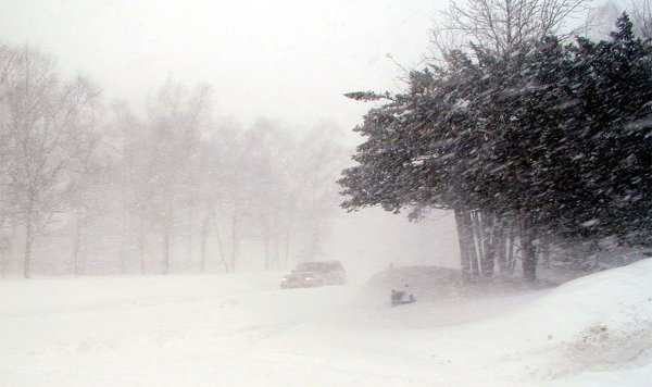 Сильный ветер со снегом