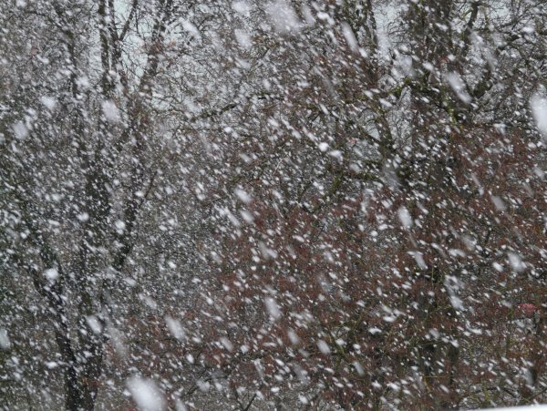 Крупные хлопья снега