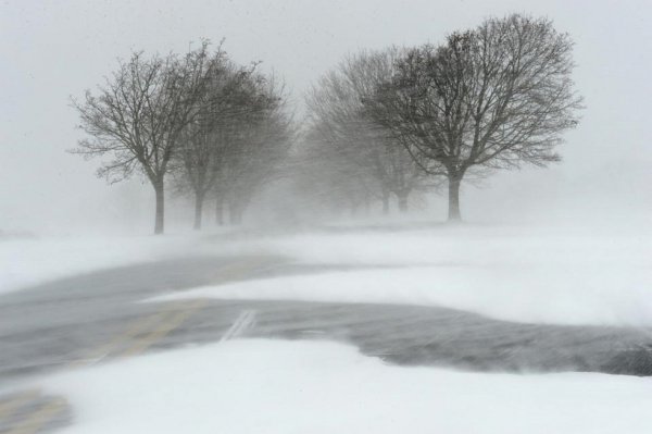 Сильный ветер зима