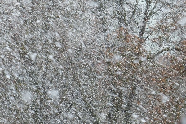 Крупные хлопья снега