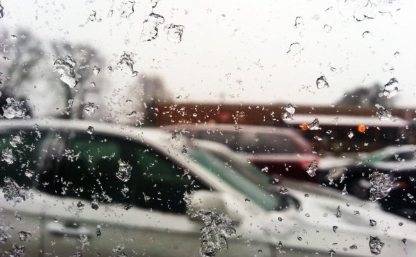 Осадки в виде дождя и мокрого снега