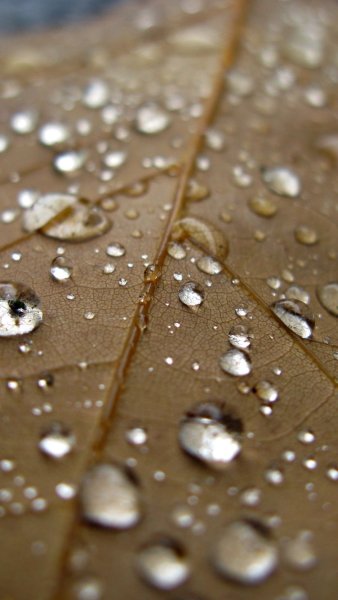 Макросъемка капли