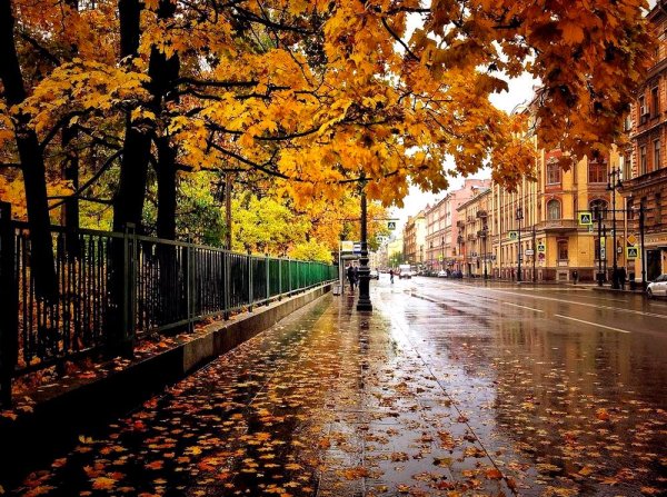 Осенний дождливый Питер