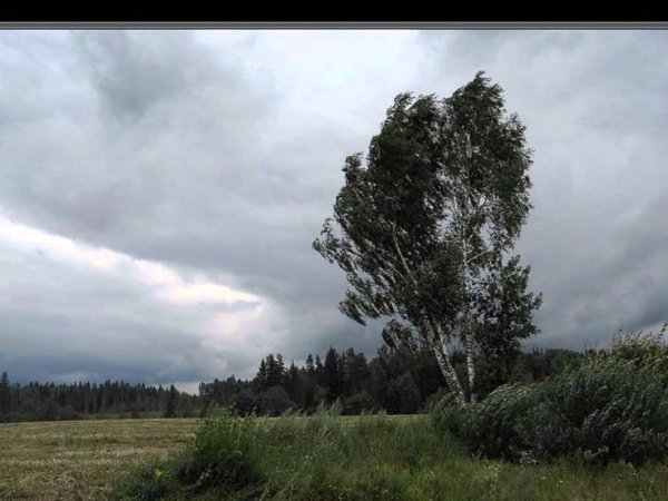 О край дождей и непогоды