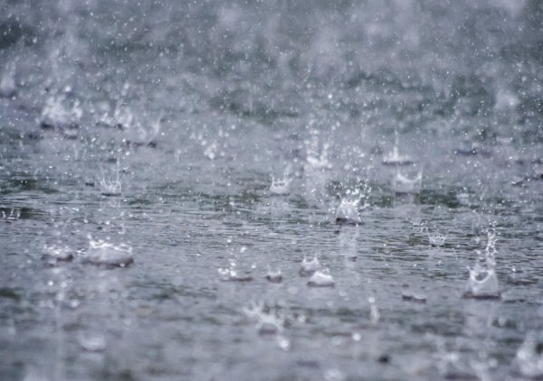 Сильный дождь