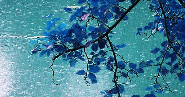 Дождь синий Эстетика