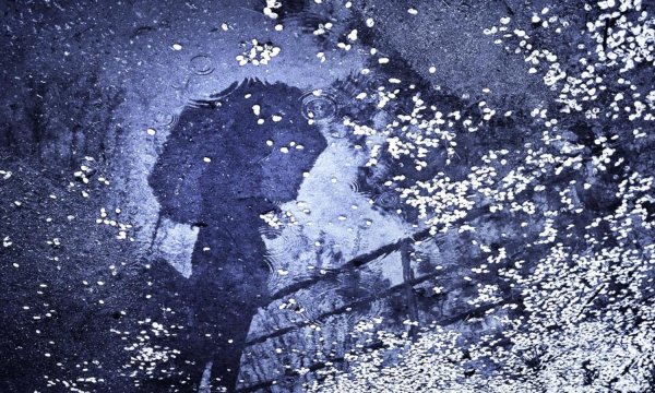 Синий дождь