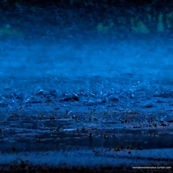 Синий ливень