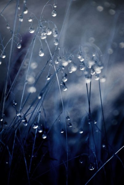 Дождь Эстетика