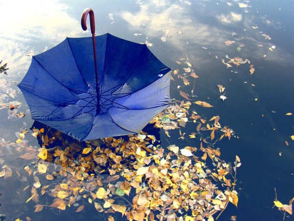 Дождик и зонтик