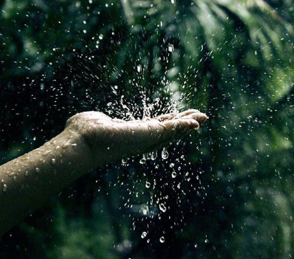 Дождь руки