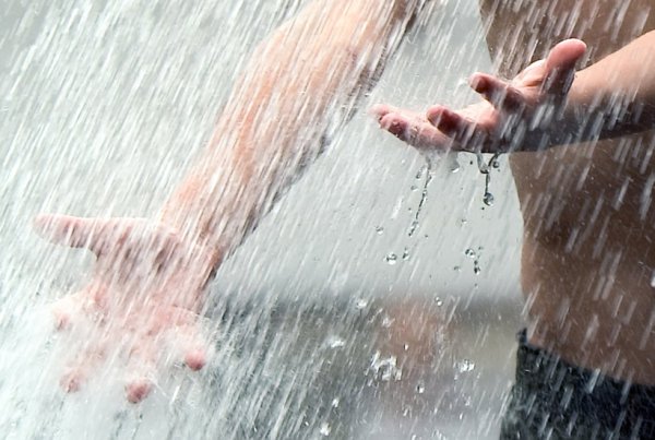 Моется под дождем