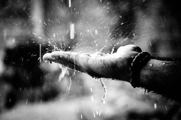 Две руки под дождем