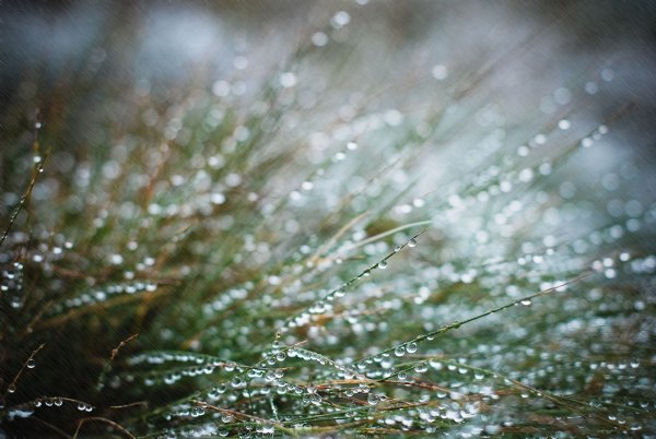 Явления природы дождь