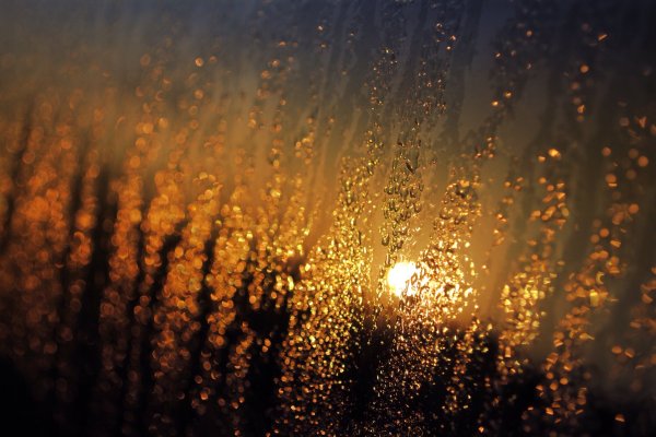 Дождь и солнце