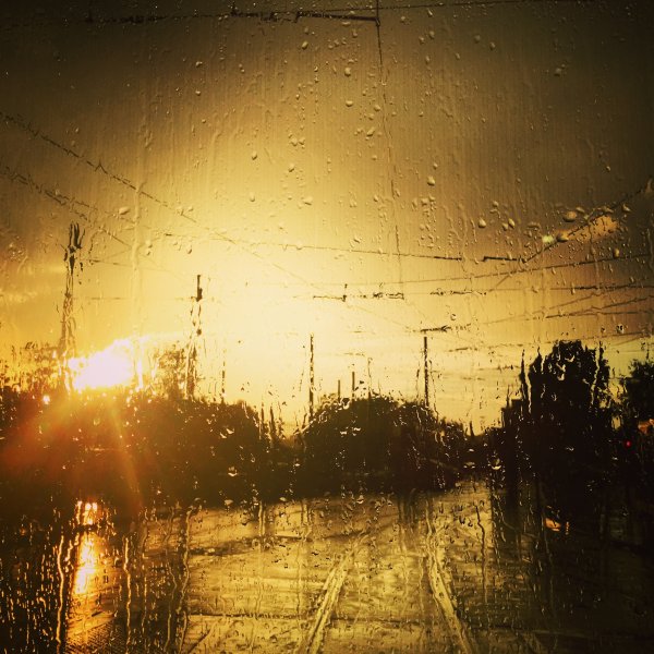 Дождь на рассвете