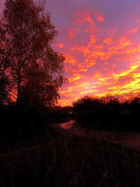 Красный закат летом