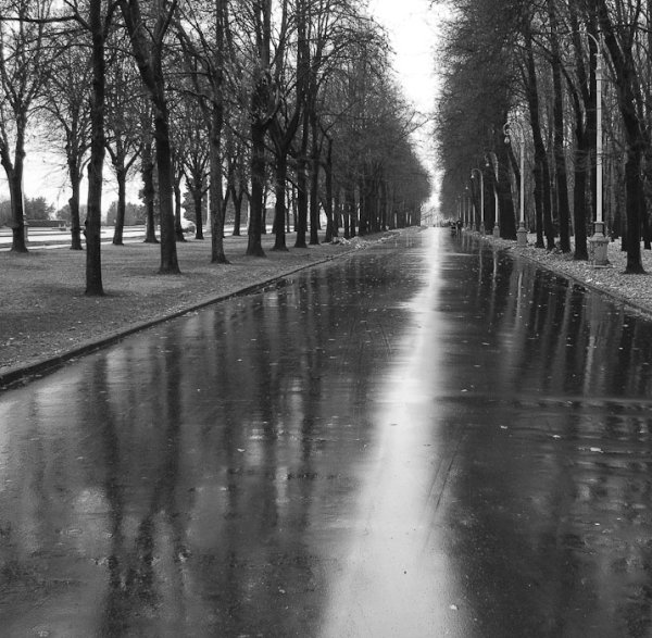 Серая осень город
