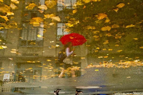 Листопад и дождь