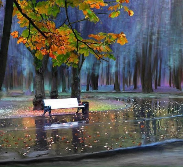 Лавочка в сквере листопад дождь