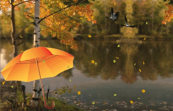 Анимированные осенние зонтики